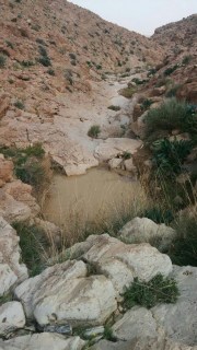 IMG-20170311-WA0029