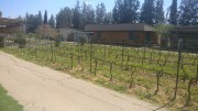 IMG-20180317-WA0016