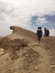 IMG-20190329-WA0013