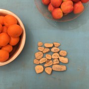 IMG-20190330-WA0006