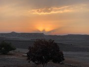 IMG-20181201-WA0029