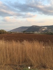 סופשבוע יוגה בחוות הילה עם שני שרון